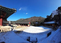 치악산(비로봉1288m),강원,원주/황골~구룡사코스 - 산행일지 - 구천골 치악산(비로봉1288m),강원,원주/황골~구룡사코스