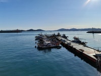 설흘산 일출 산행(임인년 남해) - 산행일지 - 구천골 설흘산 일출 산행(임인년 남해)