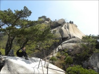 수락산(637m)/노원구 - 산행일지 - 구천골 수락산(637m)/노원구