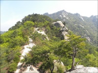 수락산(637m)/노원구 - 산행일지 - 구천골 수락산(637m)/노원구