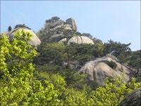수락산(637m)/노원구 - 산행일지 - 구천골 수락산(637m)/노원구