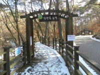 치악산(비로봉1288m),강원,원주/황골~구룡사코스 - 산행일지 - 구천골 치악산(비로봉1288m),강원,원주/황골~구룡사코스
