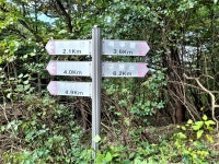 운장산1126m), 구봉산( 1002m)연계산행 - 산행일지 - 구천골 운장산1126m), 구봉산( 1002m)연계산행