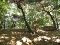 영장산(414.1m),문형산(496.7m)/이매역~오포초등학교 코스 - 산행일지 - 구천골 영장산(414.1m),문형산(496.7m)/이매역~오포초등학교 코스