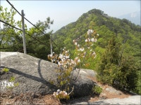 수락산(637m)/노원구 - 산행일지 - 구천골 수락산(637m)/노원구