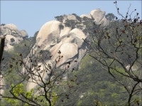 수락산(637m)/노원구 - 산행일지 - 구천골 수락산(637m)/노원구
