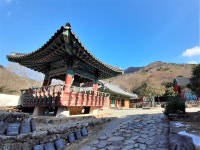 진도 첨찰산(482m) - 산행일지 - 구천골 진도 첨찰산(482m)
