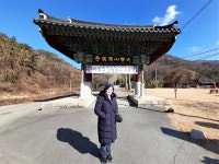 진도 첨찰산(482m) - 산행일지 - 구천골 진도 첨찰산(482m)