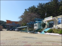 ＜섬＞해삼당화 피는 장고도(長古島)를 거닐다 - 山行을 다녀와서 - 송천동성당 등산동호회 송천동성당 등산동호회