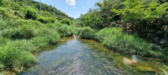 신등천 발원지를 찾아서(수려한 합천땅) - 배방의 山河 - J3 클럽 신등천 발원지를 찾아서(수려한 합천땅)