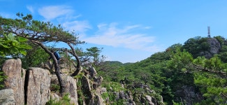 [대둔산] 산마실은 뭐니뭐니해도 비 온 다음날 새벽에 올라야 제격! - 깽이( 신은경) - J3 클럽 J3 클럽