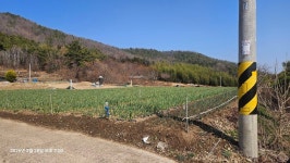 고흥지맥 산행기 - joon - J3 클럽 고흥지맥 산행기
