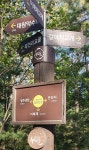 강남 16산 종주 - 수도 강남16산 - J3 클럽 강남 16산 종주