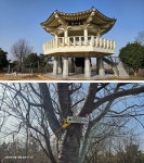 백룡, 옥룡지맥 산행기 - joon - J3 클럽 백룡, 옥룡지맥 산행기