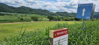 풍산천 발원지를 찾아서(문디산을 지척에 두고) - 배방의 山河 - J3 클럽 풍산천 발원지를 찾아서(문디산을 지척에 두고)