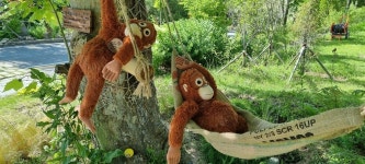 신등천 발원지를 찾아서(수려한 합천땅) - 배방의 山河 - J3 클럽 신등천 발원지를 찾아서(수려한 합천땅)