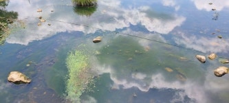 신등천 발원지를 찾아서(수려한 합천땅) - 배방의 山河 - J3 클럽 신등천 발원지를 찾아서(수려한 합천땅)