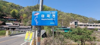 마곡천 발원지를 찾아서( 봄향기속으로...) - 배방의 山河 - J3 클럽 마곡천 발원지를 찾아서( 봄향기속으로...)