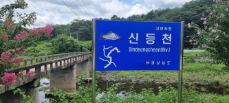 신등천 발원지를 찾아서(수려한 합천땅) - 배방의 山河 - J3 클럽 신등천 발원지를 찾아서(수려한 합천땅)