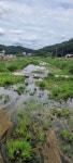 풍산천 발원지를 찾아서(문디산을 지척에 두고) - 배방의 山河 - J3 클럽 풍산천 발원지를 찾아서(문디산을 지척에 두고)
