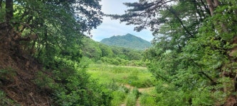 풍산천 발원지를 찾아서(문디산을 지척에 두고) - 배방의 山河 - J3 클럽 풍산천 발원지를 찾아서(문디산을 지척에 두고)