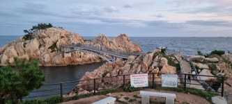 호미대왕 110KM(고사한 소나무들) - 배방의 山河 - J3 클럽 호미대왕 110KM(고사한 소나무들)