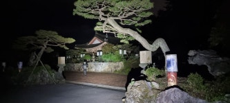 호미대왕 110KM(고사한 소나무들) - 배방의 山河 - J3 클럽 호미대왕 110KM(고사한 소나무들)