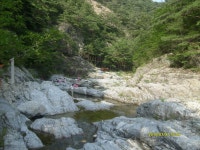 제992차 울진 선싯골 신선계곡 - 정기산행(7/25) 울진 선싯골 신선계곡/고매대장 - 토요산악회(부산경남) 제992차 울진 선싯골 신선계곡