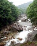 - 정기산행(8/16) 지리산 노고단-피아골 /무량대장 - 토요산악회(부산경남) 943차 지리산 노고단-피아골 피서산행?