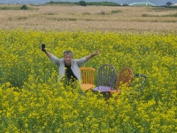 동심초 제주여행 - 재학생 모임사진방 - 만안초 15회 동창회 동심초 제주여행