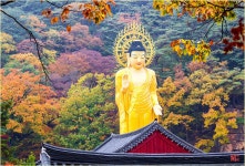 2025년10월26일,속리산 말티재 둘레길 단풍 & 법주사 탐방 - 정기산행 - 아산백두대간산악회 2025년10월26일,속리산 말티재 둘레길 단풍... 