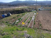 공주유구읍 삼거리코너토지(571㎡173평)매가1억3천만원 - [18]상가부지/건물 - 토지사랑모임카페 공주유구읍 삼거리코너토지(571㎡173평)... 