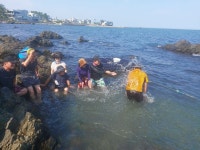 성초12기일광에서알탕 - 12기 동기회 - 부산 성동초등 동문카페 부산 성동초등 동문카페