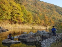 11월정기산행 - 12기 동기회 - 부산 성동초등 동문카페 부산 성동초등 동문카페