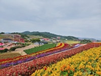 병풍도 ㆍ임자도 - 보고싶다.친구야 - 하늘지기7 병풍도 ㆍ임자도