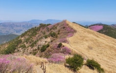 창령 화왕산 - 하늘지기의 향기 - 하늘지기7 창령 화왕산