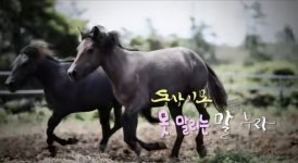 4월24일 (명성목장 ) - 정 유 회 방 - 하늘지기7 4월24일 (명성목장 )