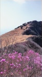 창령 화왕산 - 하늘지기의 향기 - 하늘지기7 창령 화왕산