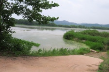 20250615 창녕우포늪(고도산악회) 915 - 고도산악회 - 마운틴 익산 마운틴 익산