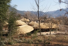 20260201 금전산 낙안읍성(길벗산악회) 944 - 길벗산악회 - 마운틴 익산 마운틴 익산