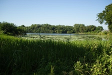 20250629 신흥공원2 - 마운틴갤러리 - 마운틴 익산 20250629 신흥공원2