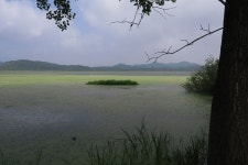 20250615 창녕우포늪(고도산악회) - 고도산악회 - 마운틴 익산 마운틴 익산