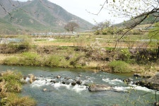 20260412 월류봉둘레길(광덕산악회) 2 - 산행스케치 - 마운틴 익산 20260412 월류봉둘레길(광덕산악회) 2