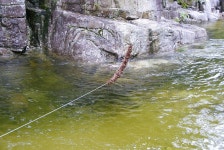 20250921 오대산소금강산(둘리산악회) 927 - 둘리산악회 - 마운틴 익산 마운틴 익산