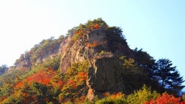 부산민들레산악회*11월3일제519차청송의숨겨진산*월매봉* 월매남봉*용암사단풍*산행안내 - 정기산행안내 - 부산민들레산악회... 