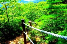 삼의·속곡 산행안내 - 정기산행안내 - 부산민들레산악회... [경북의 숨은 명산ㅣ포도산*명동산 812m]*낙동정맥 * 삼의·속곡 산행안내