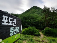삼의·속곡 산행안내 - 정기산행안내 - 부산민들레산악회... [경북의 숨은 명산ㅣ포도산*명동산 812m]*낙동정맥 * 삼의·속곡 산행안내