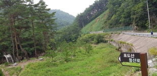 삼의·속곡 산행안내 - 정기산행안내 - 부산민들레산악회... [경북의 숨은 명산ㅣ포도산*명동산 812m]*낙동정맥 * 삼의·속곡 산행안내