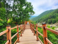 8월29일 (토) 왕피천 봇 도랑길(은어길)+ 성류굴_망양대 ㅁ - ◈8월 여행지 예약◈ - 솔뫼 여행과 사람들 8월29일 (토) 왕피천 봇 도랑길(은어길)... 