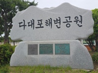 2026.6.3 몰운대,해변공원,해솔길,다대포해수욕장,코스모스,해당화... 3 몰운대,해변공원,해솔길,다대포해수욕장,코스모스,해당화,수국... 
